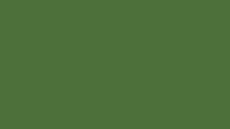 Rehau RAL 6010 KALEIDO PAINT - Grasgroen