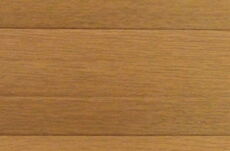 Lamelle in 54 Winchester