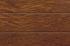 Lamelle in 48 Goldeiche