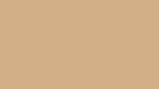 Rehau RAL 1001 KALEIDO PAINT - Beige