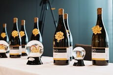 Wiener Fensterkongress 2021 - Bild 9966