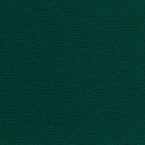 Dekorfarbe Moosgrün 6005 Renolit