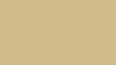 Rehau RAL 1000 KALEIDO COVER - Groenbeige