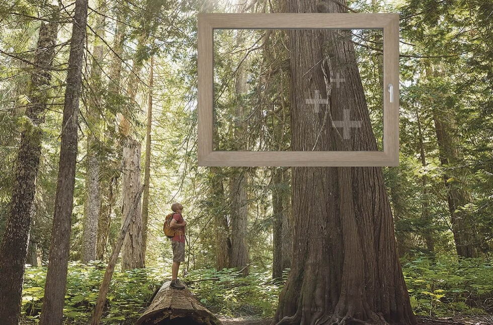 aluplast woodec - geïnspireerd door de natuur