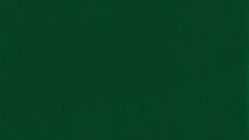 Rehau 4925 KALEIDO FOIL - Mosgroen generfd