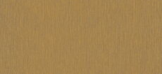 Farbe Golden AP 110