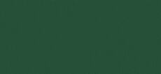 Kleur Mosgroen SAL 10