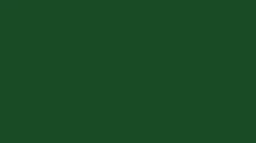 Rehau RAL 6035 KALEIDO PAINT - Parelgroen