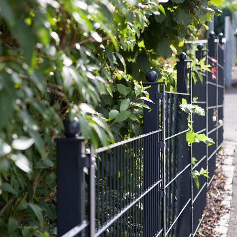 Doppelstabmattenzaun mit Zierkugeln in Anthrazit mit Hecke