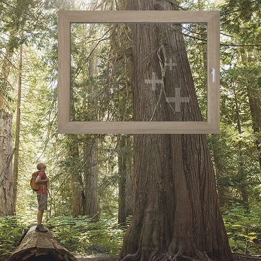 aluplast woodec decoroppervlak