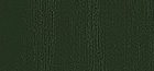Farbe Dunkelgrün Woodgrain SAL 113