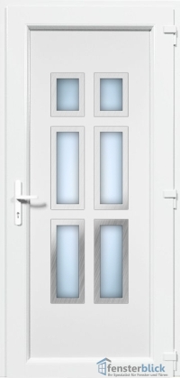 Kunststoff Haustür EL-46 Inox