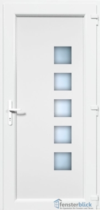 Kunststoff Haustür EL-50