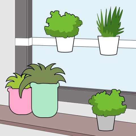 Keukenraam met kruiden en kruidenladder