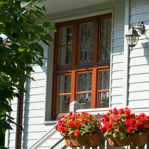 Houten ramen met Weense roeden en bovenlicht