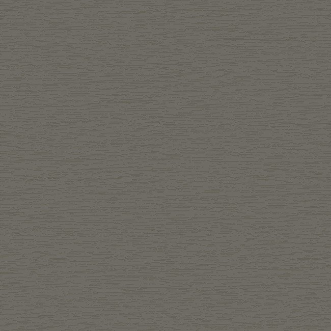 Farbmuster Betongrau