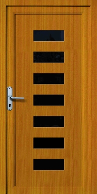 Haustür DV-205